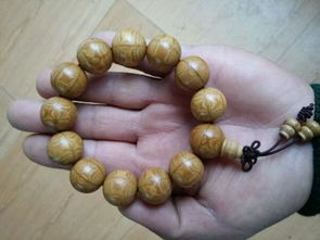 降龍木是什么樹，又名木瓜樹果實極少有九年結果之說