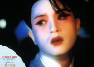 霸王別姬張國榮扮演誰，張國榮扮演程蝶衣