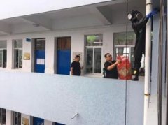 馬蜂飛到家里怎么辦，先用殺蟲劑噴射蜂巢出口和巢外蜂群