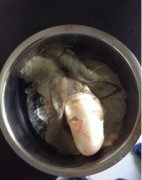 鳙魚(yú)是什么魚(yú),是淡水魚(yú)的一種又叫胖頭魚(yú)、包頭魚(yú)