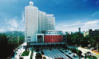 周圣鋼琴家的資料，2013年畢業于四川音樂學院