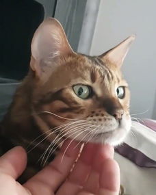 嗯是什么意思,是在向你撒嬌或者是有點生氣了想讓你哄哄她