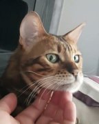 嗯是什么意思,是在向你撒嬌或者是有點生氣了想讓你哄哄她