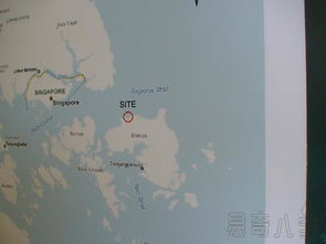 女人夢見很多黑蜘蛛，表示你精力充沛工作認真謹慎