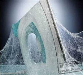 家里有黑蜘蛛代表什么,在風水看來預示家中有人正犯桃花運