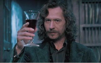 小天狼星怎么死的，被貝拉特里克斯的咒語擊中