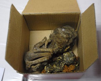 怎么養(yǎng)小鬼,泰國(guó)是全球仍盛行巫術(shù)咒語(yǔ)的地區(qū)之一