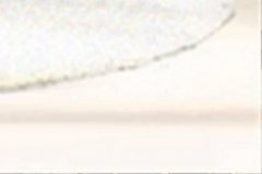 家里有保家仙的忌諱，一般初一、十五要點香供奉