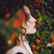 家里有黑蜘蛛什么征兆，預(yù)示家道破落生意破產(chǎn)