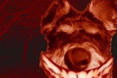 微笑狗事件死人了嗎，沒有人會因為一張照片而放棄