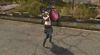 抱臉蟲是什么,是可以抱住別人臉的寄生蟲