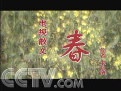 朱自清的春原文,盼望著盼望著東風(fēng)來了