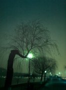 最美的不是下雨天,滴答滴答是離別的悲歌