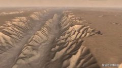 木衛二有生命嗎,或許能達到章魚的智力級別