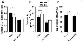接吻能瘦的原理,本質是調動體內的多巴胺