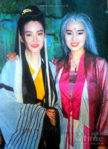 林青霞鞏俐和拍的電影,叫《天龍八部之天山童姥》