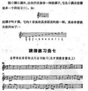 初學(xué)者如何學(xué)五線譜，五線譜首先由五根橫線組成