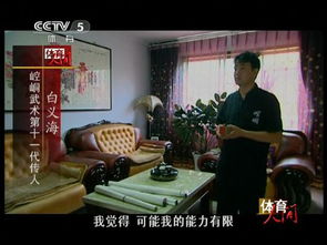 崆峒派掌門人是誰,據說是白義海自稱得到門派之印