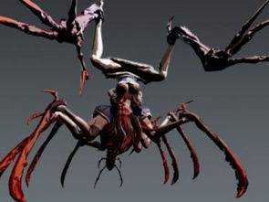 夢(mèng)見很多黑蜘蛛，預(yù)示著近期你在財(cái)運(yùn)方面不錯(cuò)