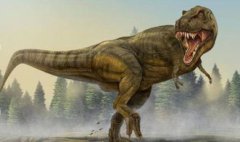 特暴龍和霸王龍誰厲害，特暴龍厲害些屬于食物鏈頂端