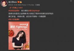 張大奕的微博，微博消息從不間斷