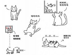 貓的叫聲，也有各種各樣的含義，你都知道哪幾種