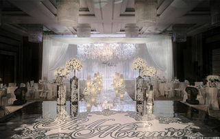 白玫瑰的花語,男人對女人一生的愛沒有雜質沒有任何牽絆