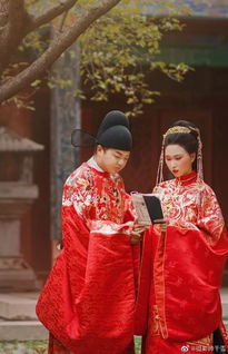 祝福新婚的著名古詩詞,白首齊眉鴛鴦比翼