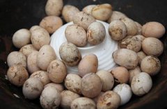 童子蛋是哪里特產,是浙江特產不少外地人都覺得難以下咽