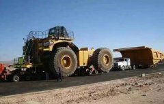 紅鼓魚一斤多少錢，8美元一斤，折算成人民幣就是50元一斤左右