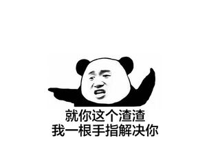 聊天時整人的套路句子，天貓和主人去釣魚