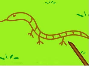 蛇以前有腳嗎,遠(yuǎn)古的蛇似乎真的擁有明顯的“腳”