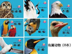 蝙蝠有腳嗎,唯一會飛的哺乳類蝙蝠是有腳的