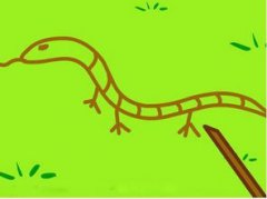 蛇以前有腳嗎，遠古的蛇似乎真的擁有明顯的“腳”