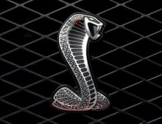 車標眼鏡蛇是什么車，是福特旗下的眼鏡蛇跑車