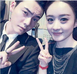 趙麗穎和陳偉霆的關(guān)系，網(wǎng)上傳言他倆的關(guān)系不好