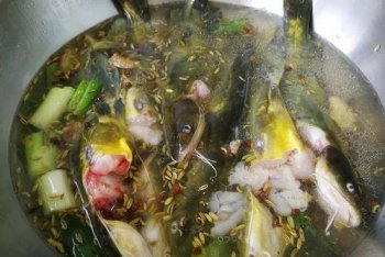 趴地虎魚能吃嗎，趴地虎魚能吃，而且含肉多、少刺、肉味鮮美