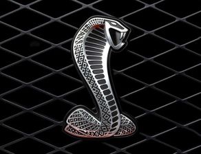 車標眼鏡蛇是什么車，是福特旗下的眼鏡蛇跑車