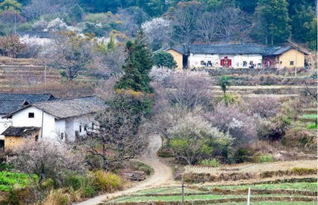 清遠是廣東最窮的嗎，不是最窮云浮是最窮的