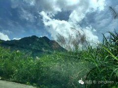 野人山真的有野人嗎，沒有野人是未開的原始森林