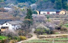 清遠是廣東最窮的嗎,不是最窮云浮是最窮的