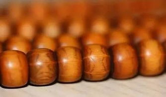 降龍木和六道木的區(qū)別,二者種類不同功效不同