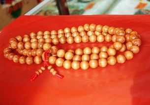 降龍木是什么,俗稱六道子木面光滑細密