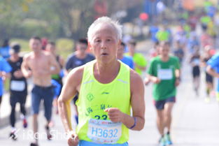 馬拉松的由來歷史故事，起源于公元前490年