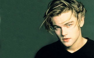 世界上最帥的男人,萊昂納多·迪卡普里奧