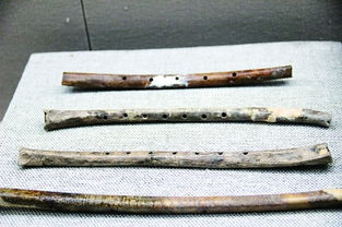 最古老的旋律崔吹奏樂器是，賈湖遺址出土的骨笛
