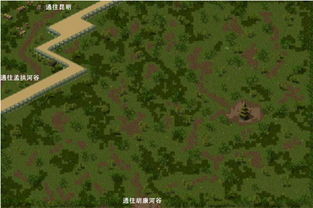 緬甸野人山有多大，方圓五、六百公里山脈長度200公里