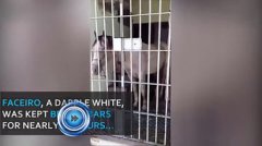 屋里有黑蜘蛛怎么辦，要收拾整齊一些