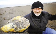 龍涎香是什么，是一種非常名貴的香料