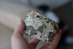 龍涎香是抹香鯨的糞便嗎，可以將它當(dāng)做是抹香鯨的便便